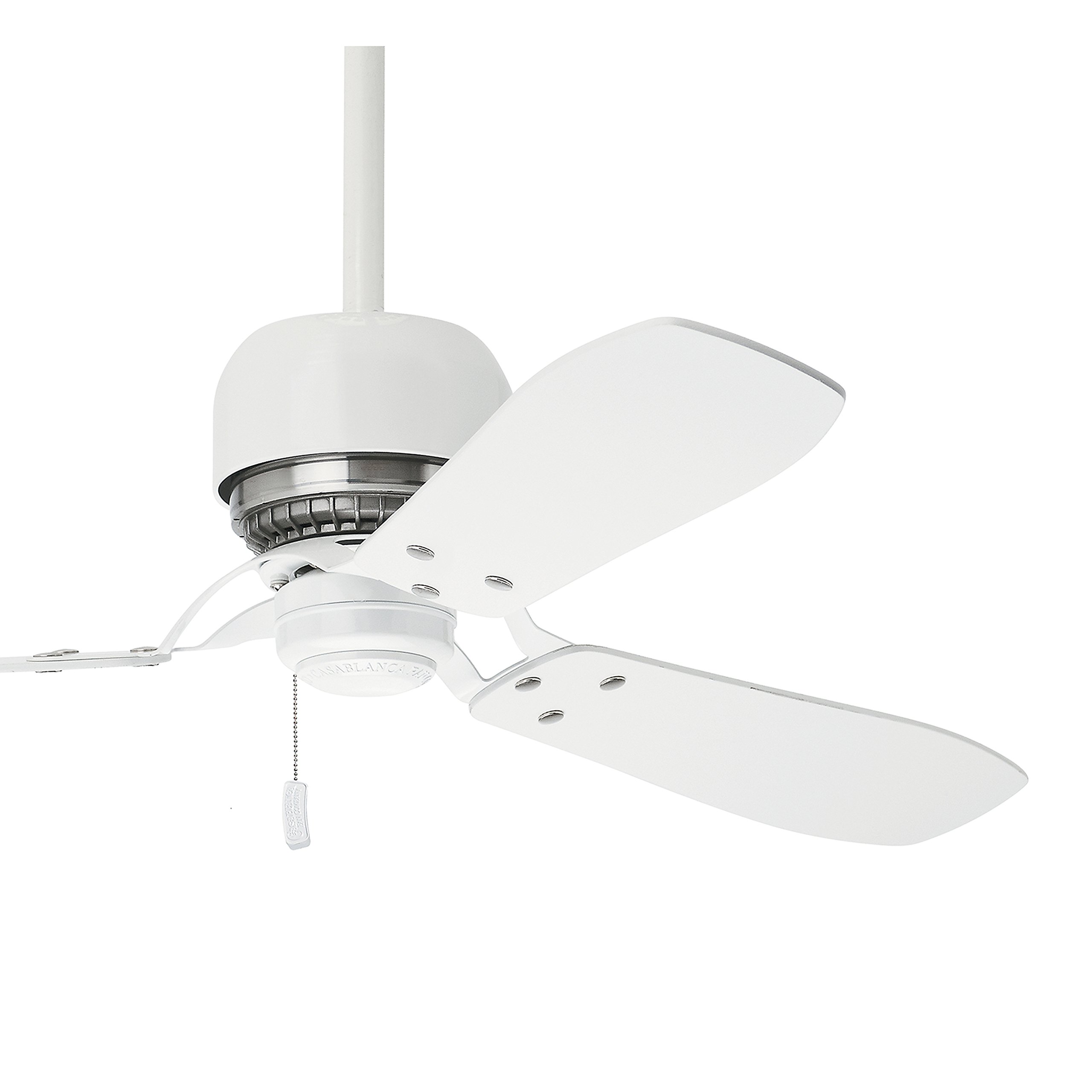 Buy Casablanca Fan 52 inch Ceiling Fan in Snow White with 3 Snow White