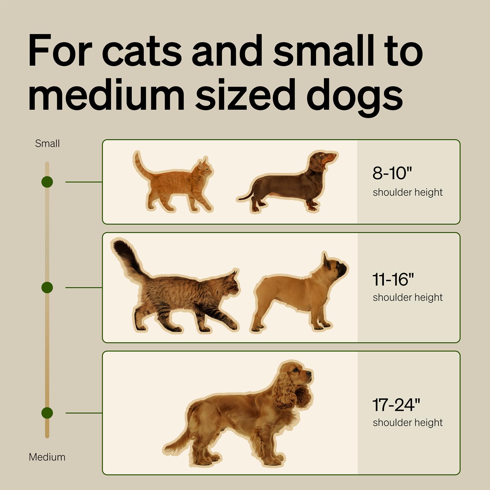 Bundle of PETLIBRO Automatic Cat Feeder with Camera, 1080P HD Video with Night Vision + PETLIBRO Slow Feeder Bowl for Small Dogs & Cats, 1.125 Cup— Anti-Gulp Stainless Steel Dog & Cat Bowl - image 5