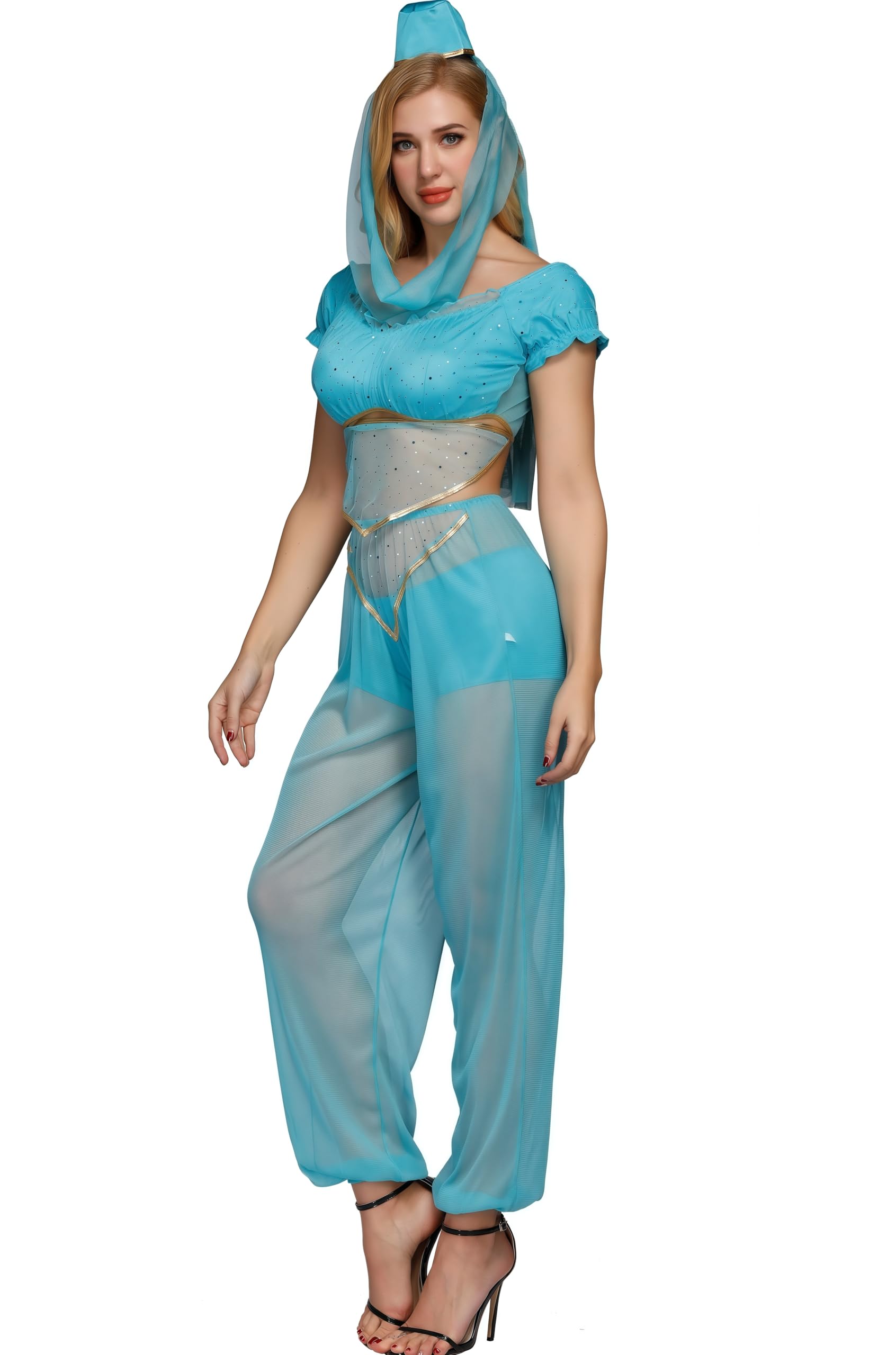 Genie Costume Women - S-2XL Sexy Adult Belly Dancer Outfit Arabian Night Dress Sexy Genie Costume (F1229, 2XL)