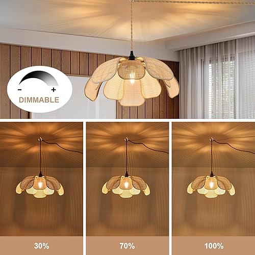 Miniatura 5 de Luces colgantes con cable de enchufe con cable de enchufe con cuerda de cáñamo de 23 pies, lámpara colgante enchufable, cable de luz colgante