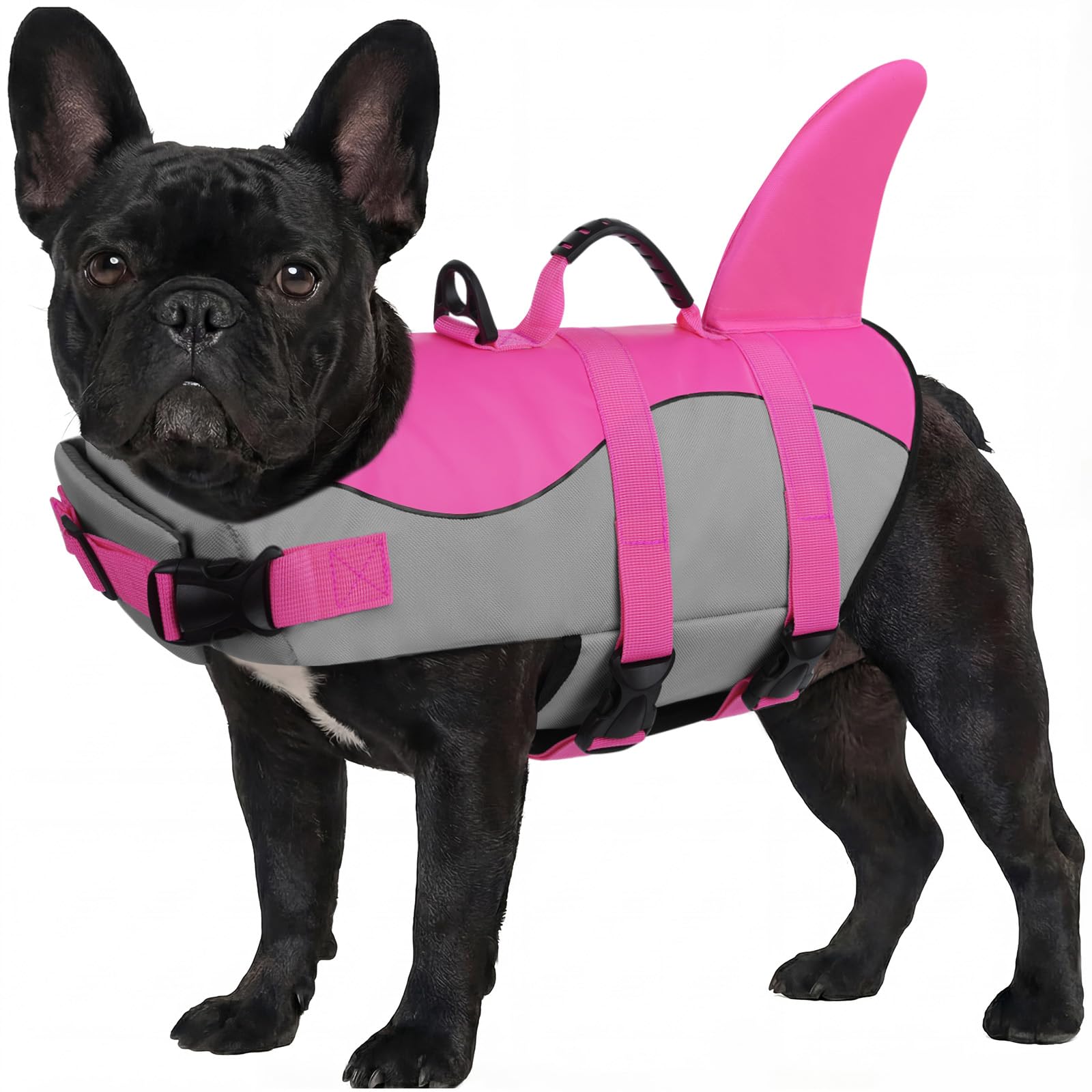 ASENKU Giubbotto Salvagente per Cani, Giubbotto Salvataggio Cane Squalo per Nuoto e Sport Acquatici, con Maniglia Superiore e Cintura di Sicurezza Regolabile, per Cani di Taglia Piccola Media Grande M