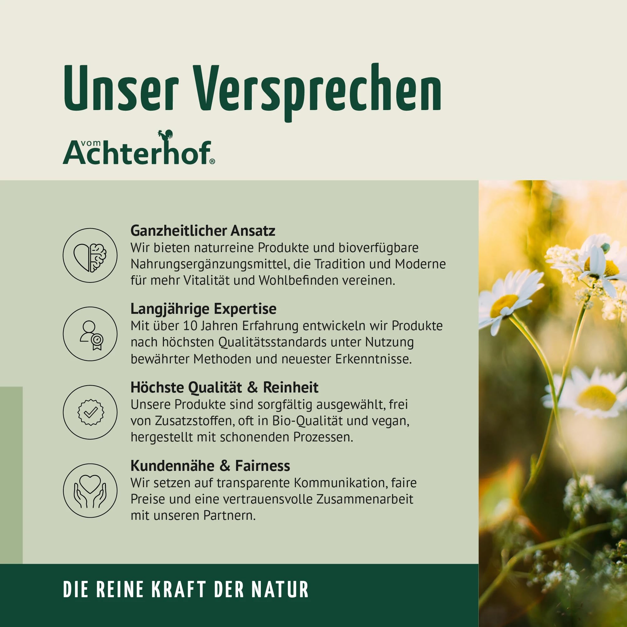 Creavitalis® Kreatin Monohydrat Pulver 500g | reinstes Kreatin ohne Zusätze made in Germany | aus den Aminosäuren Arginin, Glycin und Methionin | Achterhof