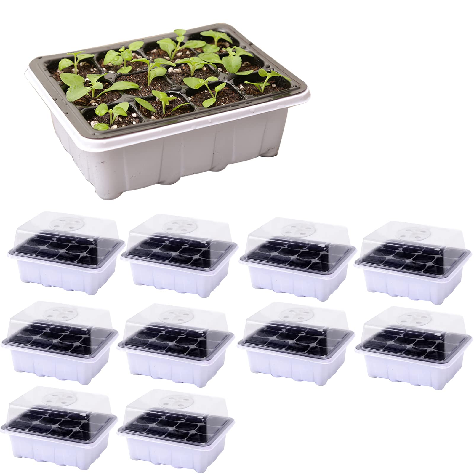 10 Pièces Bac à semis, Mini Serre pour Plantes Intérieure avec couvercles rehaussés, 12 Cellules Intérieure Plateau Semis Pépinière Boîte de Culture pour Jardin