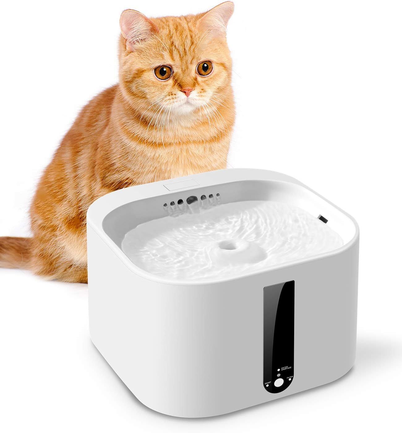 smart pet fountain