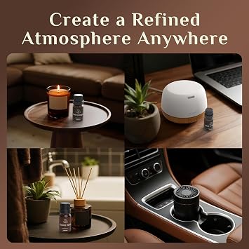 ASAKUKI Essential Oils for Diffuser, Aroma Gift for Men, 610ml | Cologne-Inspired Fragrance Oils, Refined Clean Bold Woody Aroma