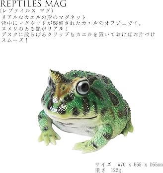 Amazon | リアル ツノガエル カエル 蛙 オブジェ 置物 REPTILES MAG
