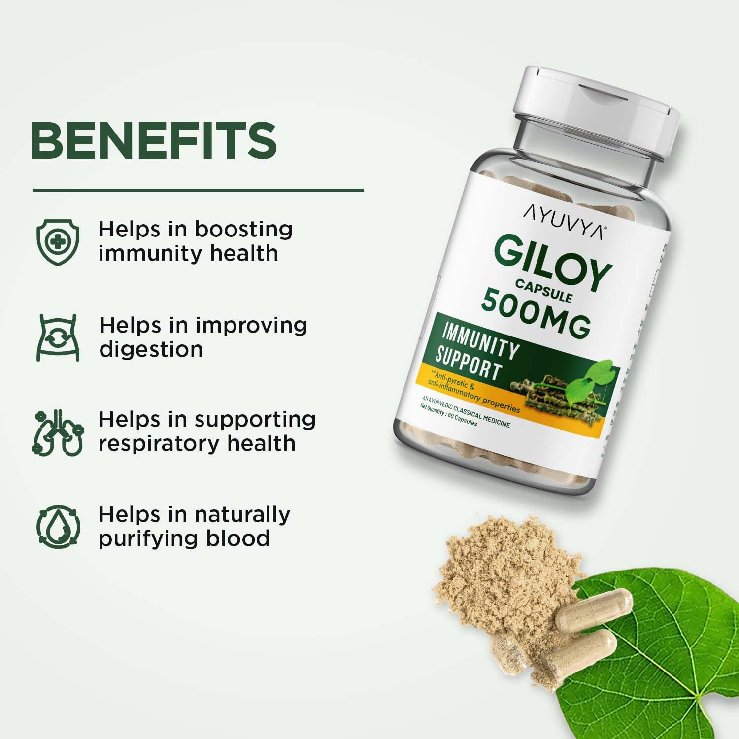 Ayuvya Giloy Capsules - 500mg Pure Guduchi Powder & Extract - Immunity Booster & Liver Support Supplement, 60 Capsules (Pack of 2) | As Seen on Shark Tank 2