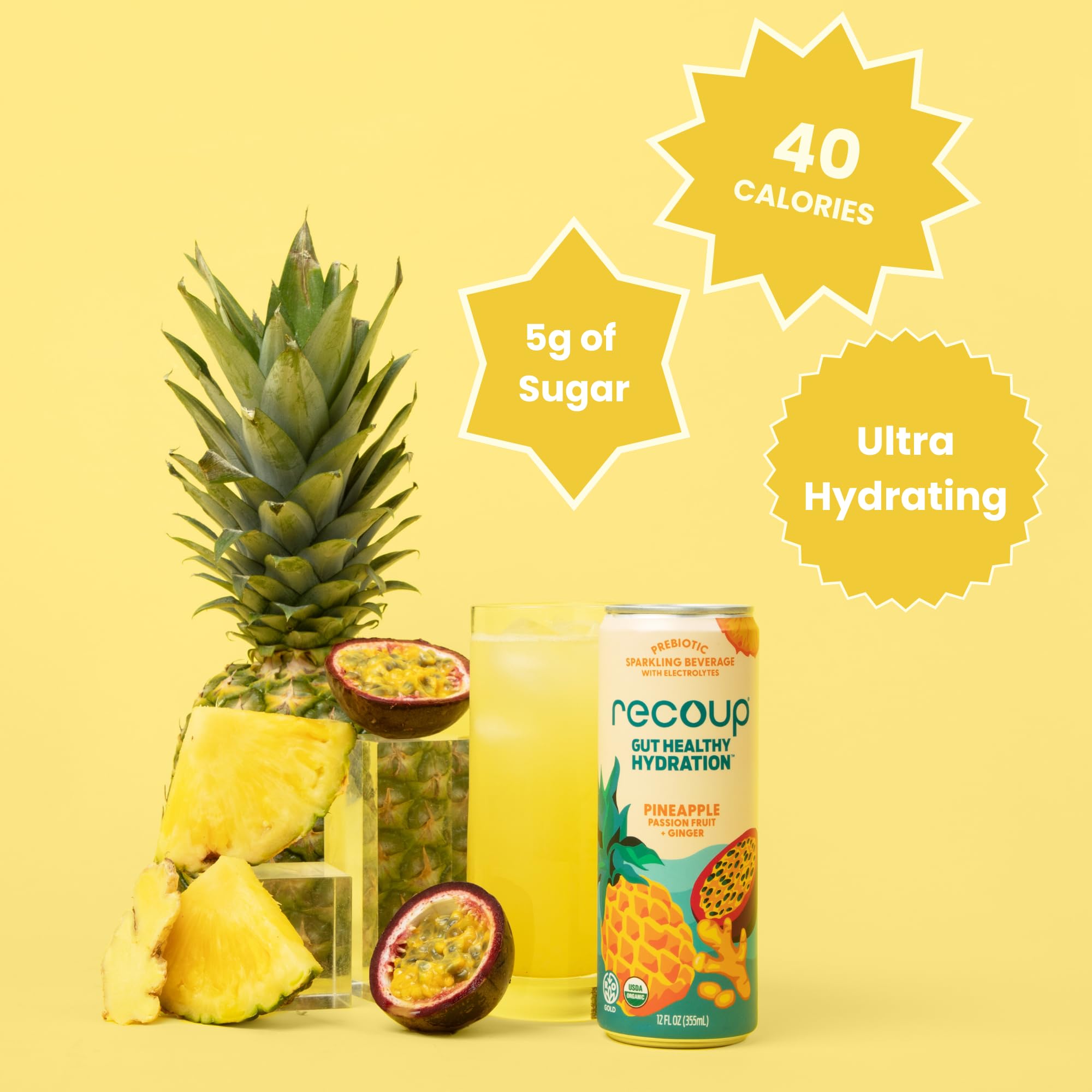 Amazon.com : Recoup Organic Sparkling Prebiotic Drink - Ginger