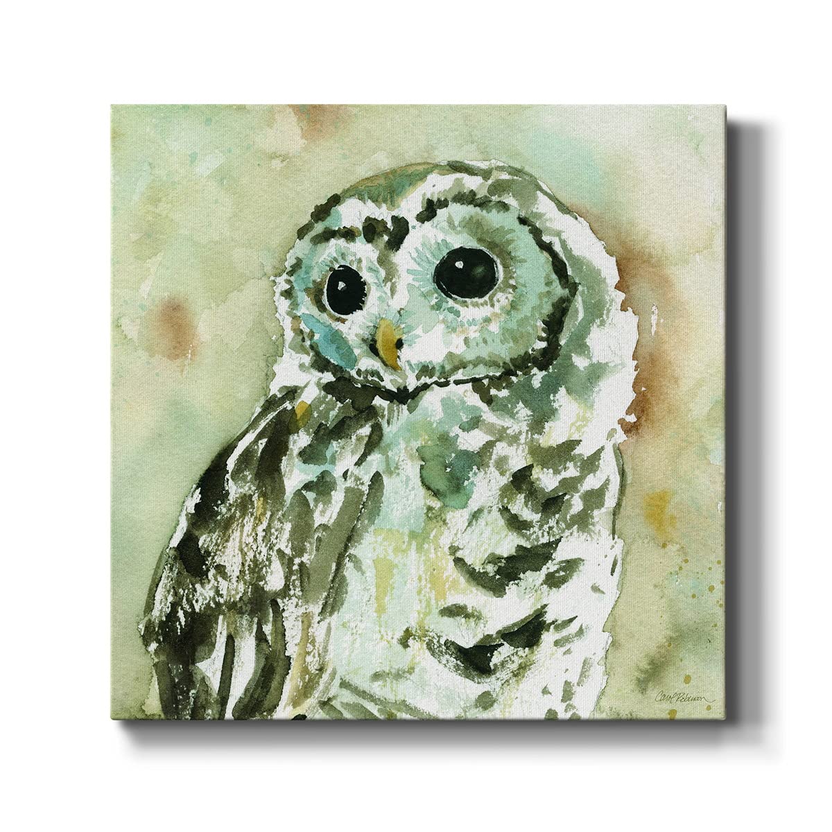 Renditions Gallery Canvas Wall Art Animals Theme for Home Décor, Woodland Owl Wall Art, Ready to Hang, 16'' x 16'', (AZS-WC07-15811-R-1616-SC)