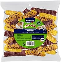 Vista 5 de Vitakraft Mini Pops Treat para animales pequeños, mazorca de maíz 100% real, soporta dientes sanos, 6 onzas (paquete de 2)