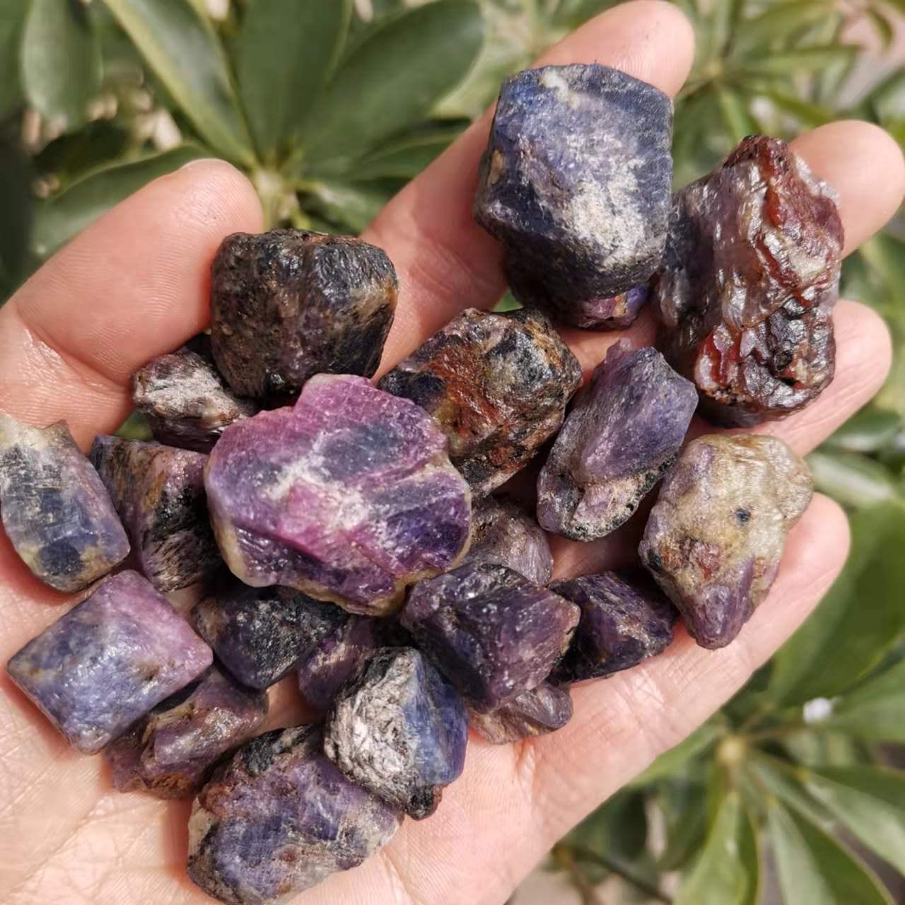 Rubis Brut Naturel De Madagascar - 20,33 Carats, Qualité Exceptionnelle AAA - Pièce Rare Pour Collection
