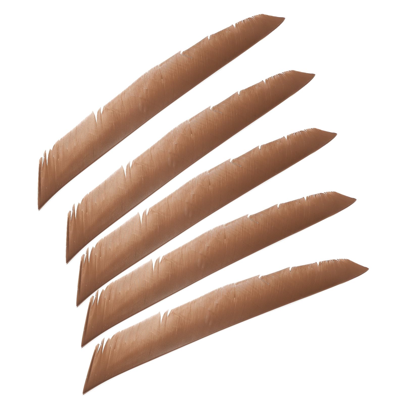 PATIKIL Arrows Vanes, 50 Pack 11 Inch Turkey Feather Arrow Fletching Archery Arrow Feather Right Wing Shield Fletch for DIY Target Shooting, Brown