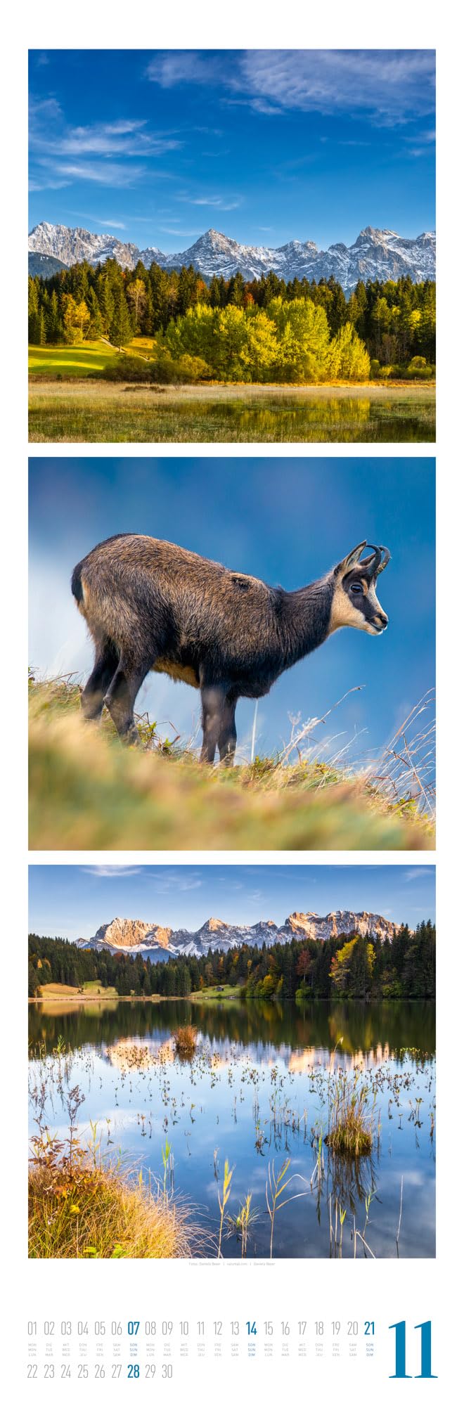Nature Triplet-Kalender 2027 | Stilvoller Natur-Kalender im schlanken Hochformat (33x100 cm) | Triplet-Fotografie im Premium-Format