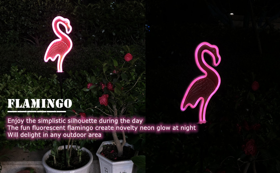 Flamingo