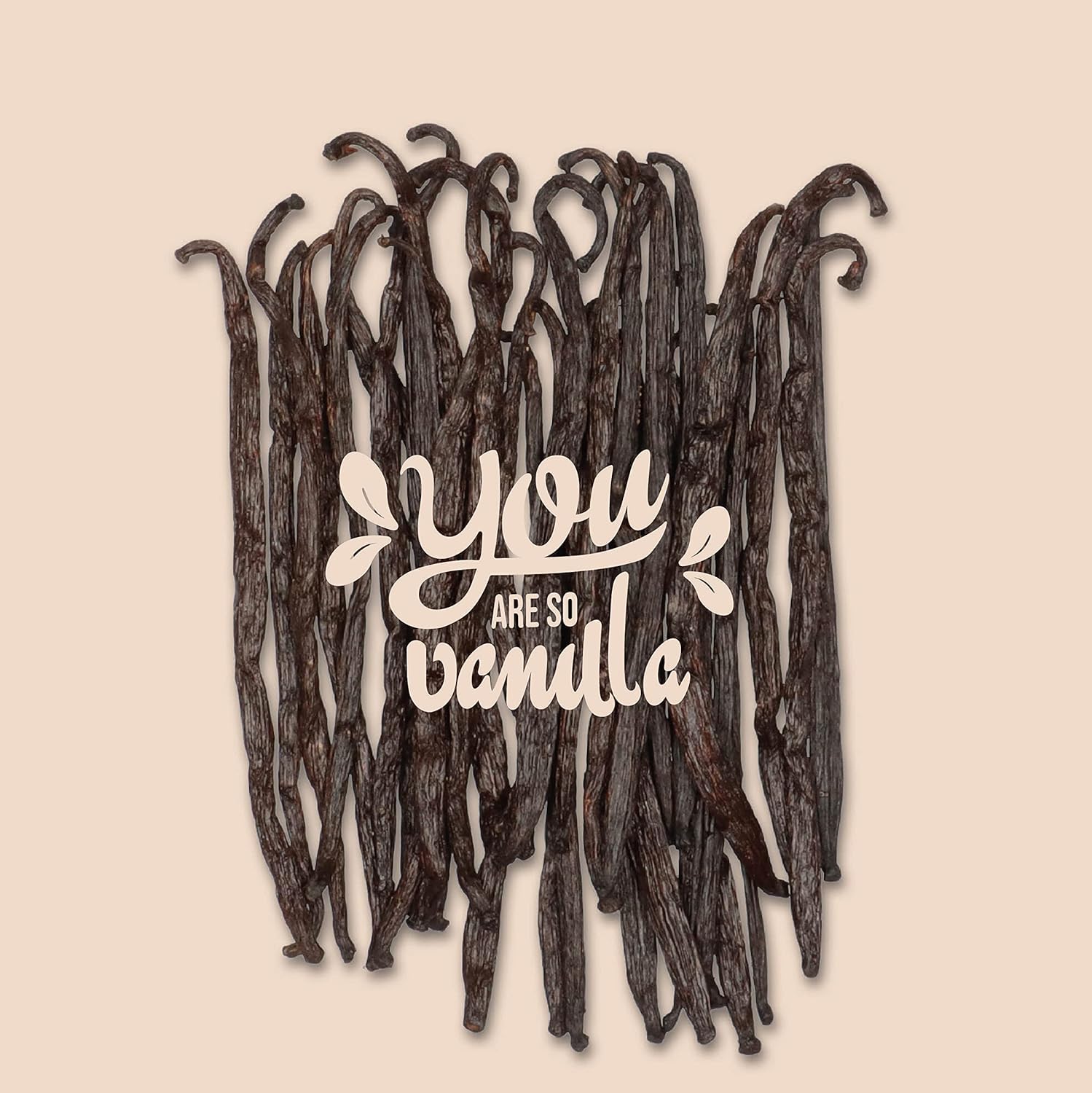 JUST VANILLA Bourbon Vainas de Vainilla 20 Piezas Enteras 42 Gramos Premium Tahití Vainilla Varillas para hornear, Cocinar, Extraer, Refinar Platos Dulces