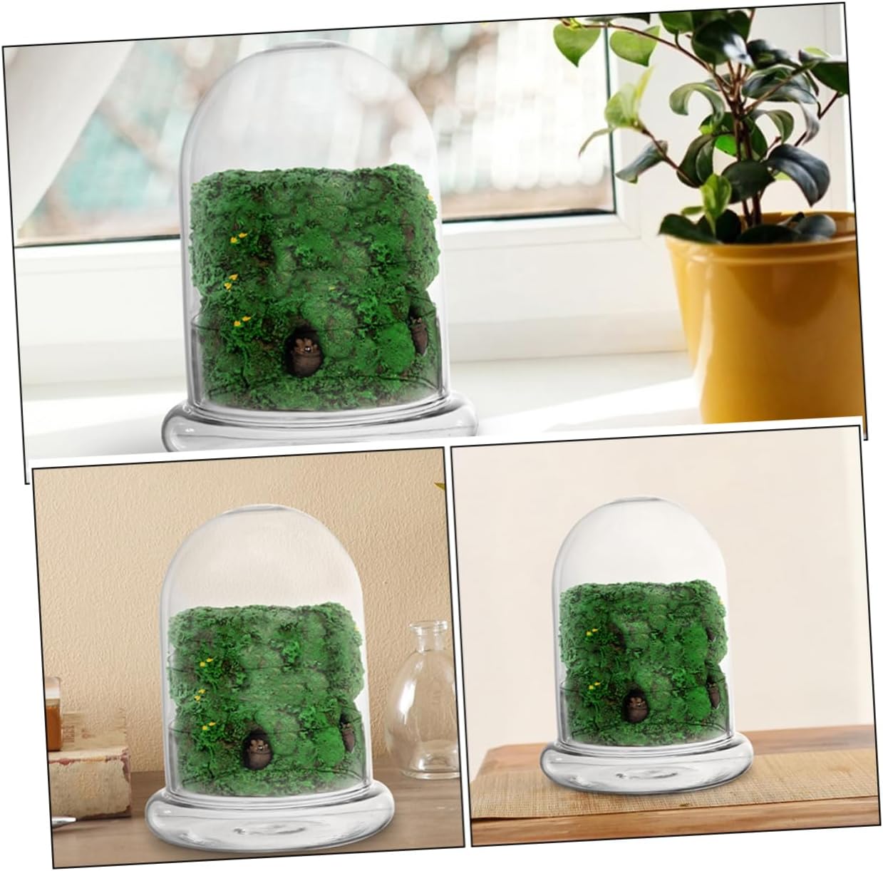 2pcs Glass Terrarium Planter with Lid Eco-Friendly Micro Landscaping Container for DIY Plants Lightweight and Durable Decorative Glass Bottles