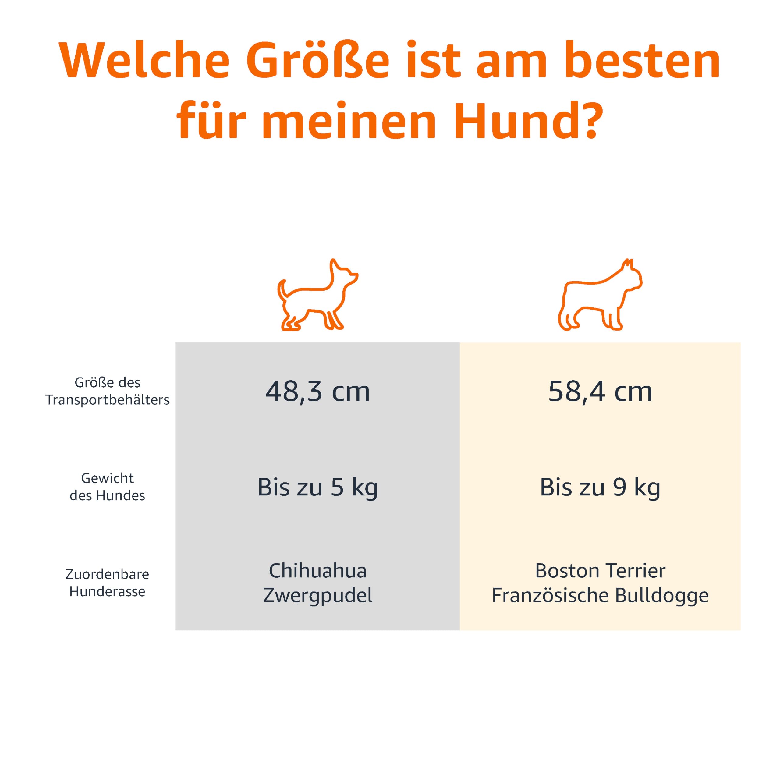 Amazon Basics Hund Transportbox für Haustiere, 2 Türen, 1 Dachöffnung, L 48 x B 32 x H 25 cm, Blau