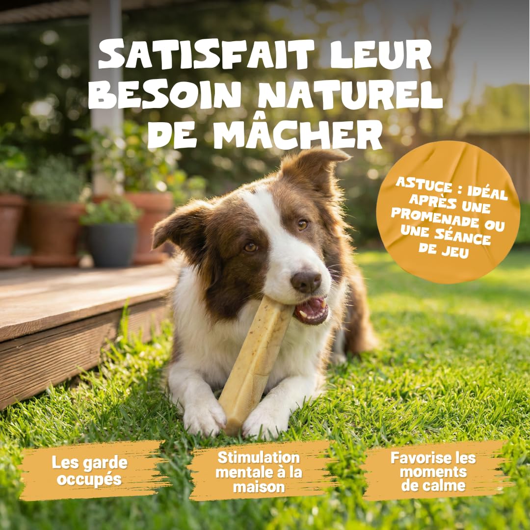 Pets Purest Barres au Lait de Yak de l'Himalayan à Mâcher Large - Friandises Naturelles Os au Fromage - pour Tous Les Ages, Chiots & Les Chiens Agés - Bâtonnets de Protéines & Calcium Longue Durée