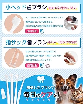 Amazon.co.jp: 【獣医師監修】 犬 歯ブラシ 猫 ペット 小型犬 犬