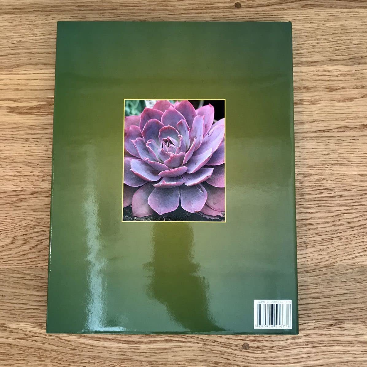 洋書 ECHEVERIA CULTIVARS 図鑑 洋書 ECHEVERIA CULTIVARS 図鑑