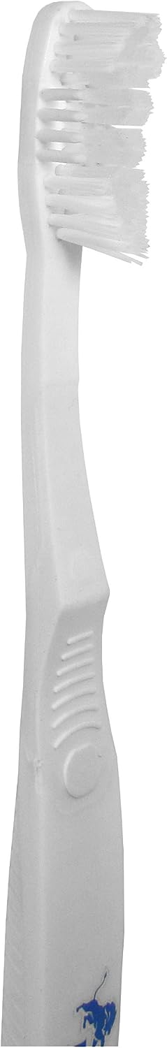 NFL Siskiyou Sports Fan Shop Detroit Lions MVP Toothbrush One Size Team Color image 3