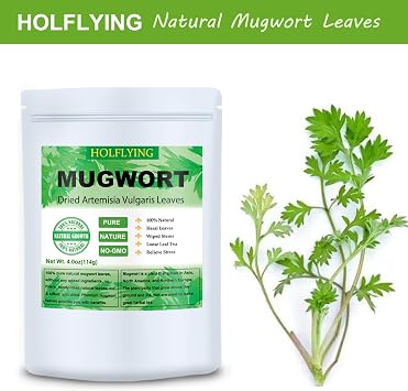 Dried Mugwort Leaves, 4oz(114g), Natural Artemisia Vulgaris Herb Loose Leaves, 100% Natural Mugwort Tea, No Gmo