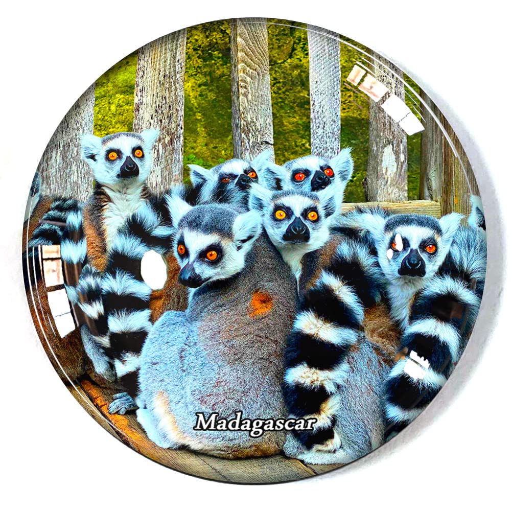 Madagascar Fridge Magnet Refrigerator Freezer Magnet Souvenir Decoration Magnet Sticker Glass Crafts