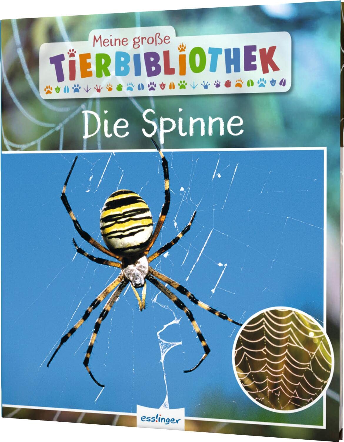 Meine große Tierbibliothek: Die Spinne: Sachbuch für Vorschule & Grundschule