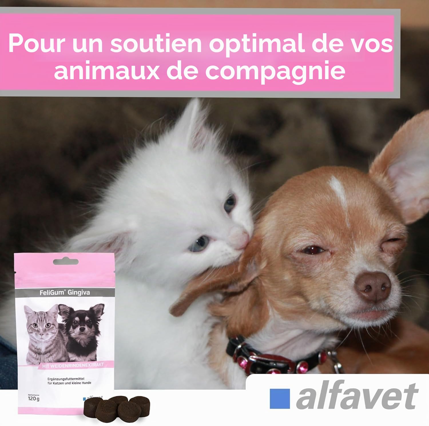 alfavet FeliGum Gingiva | Pack Double | 2 x 120 g | Complément Alimentaire pour Chats et Petits Chiens | avec extrait d'écorce de Saule et acides Gras oméga-3 | Délicieuses Gouttes à mâcher