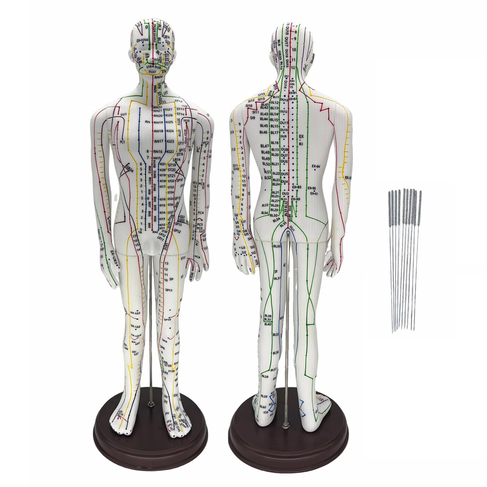 Mannequin acupuncture 52cm avec 360 méridiens et aiguilles pour s'exercer