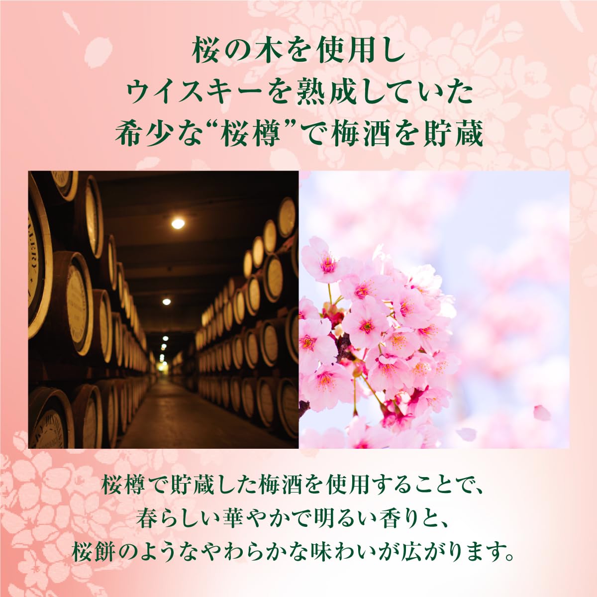 Amazon.co.jp: サントリー 梅酒 山崎蒸溜所貯蔵梅酒 リッチアンバー 桜