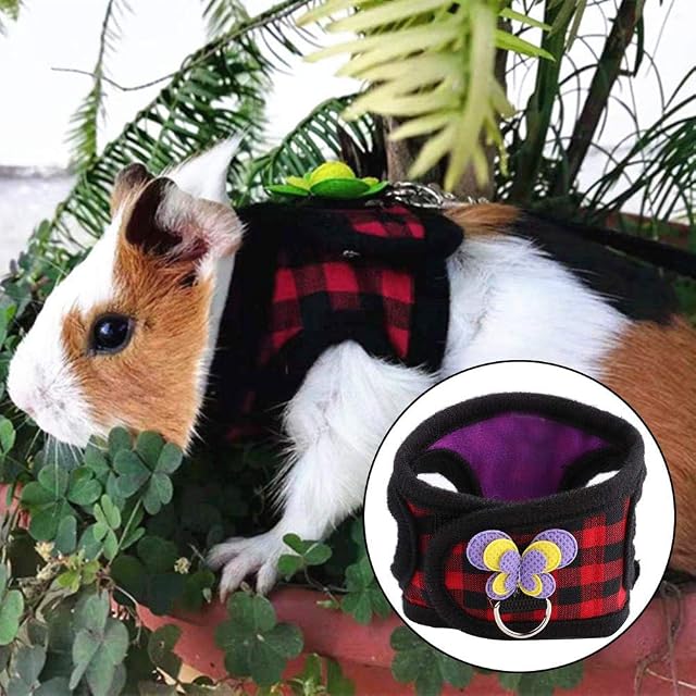 Foto 3 de 8 de Arnés con Mariposas para Mascotas Pequeñas, Chaleco con Correa, para Chinchilla, Ardilla, Conejo
