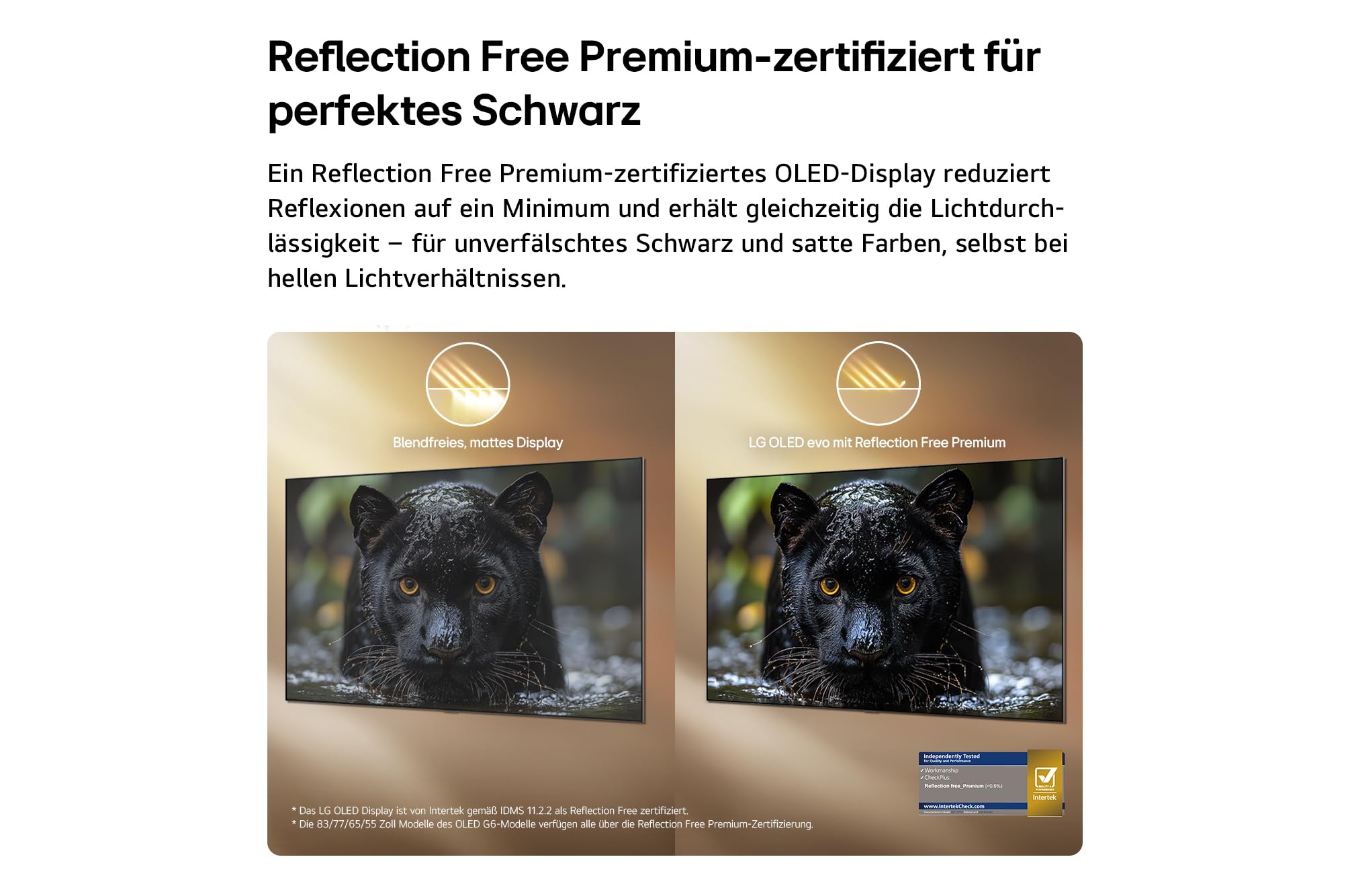 LG OLED55G67LW TV 55 Zoll (139 cm) 4K OLED evo AI TV (α11 Gen3 4K AI Prozessor, webOS 26, 120Hz (VRR bis zu 165Hz)) [Modelljahr 2026] [Energieklasse E]