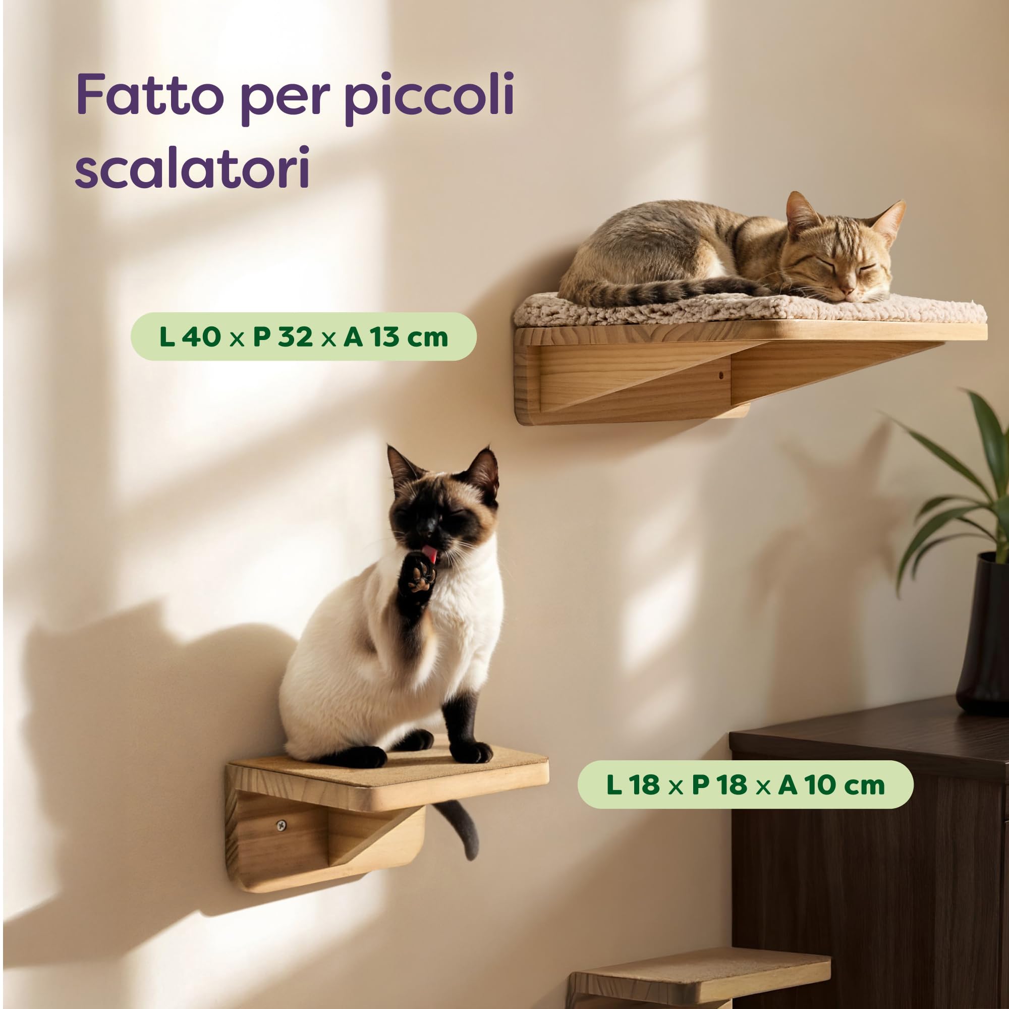 Knupis Mensole da Parete per Gatti con Letto & 2x Scale – Legno di Pino Massiccio FSC®, Amaca da Parete Robusta fino a 30 kg – per Gioco & Comfort - Beige