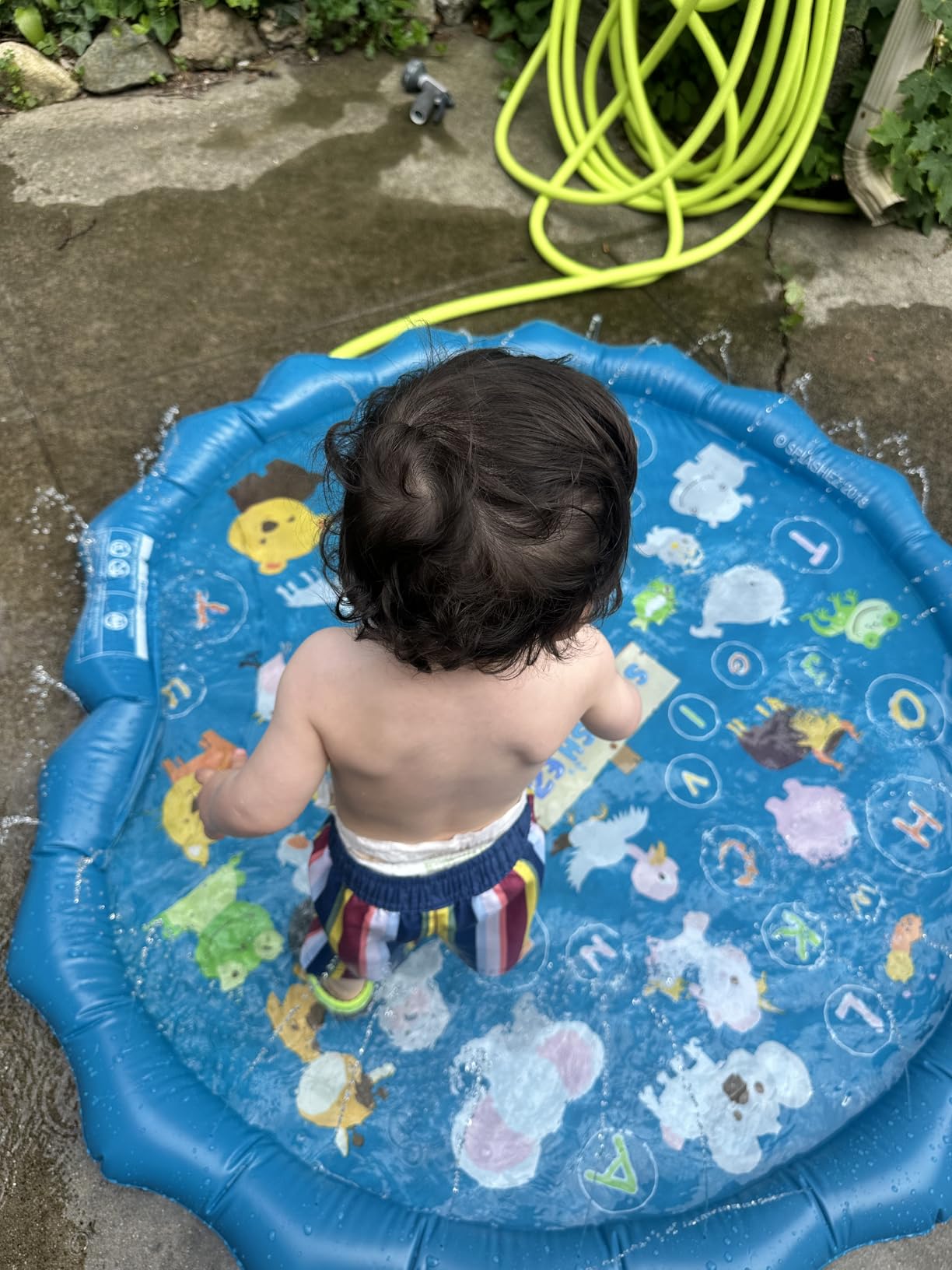 Great product for a great price.