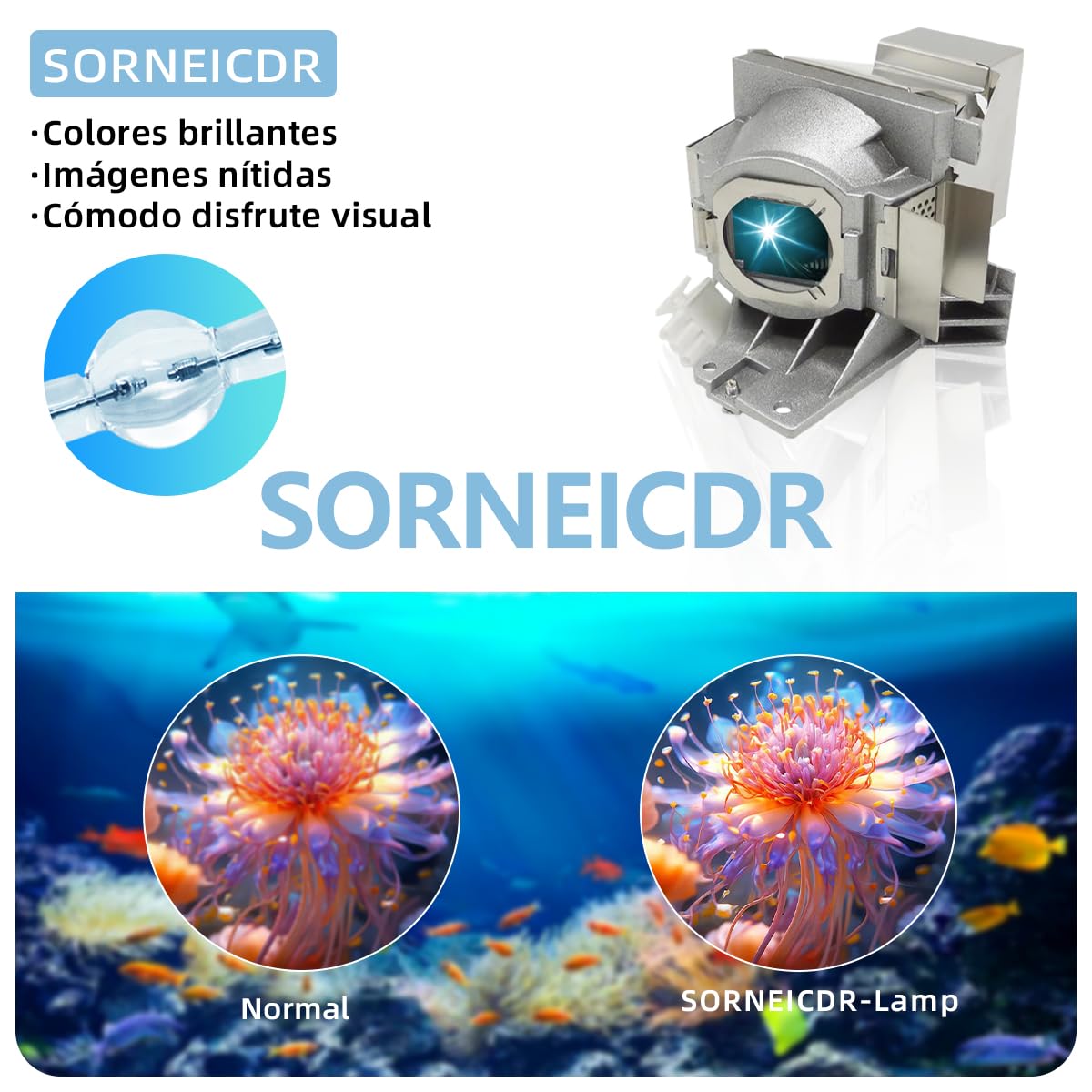 5J.JEE05.001 Lampada proiettore di ricambio con alloggiamento per Benq HT2050 HT2150ST HT2050A HT3050 W1110 W1210ST W2000 W2000+ Videoproiettore