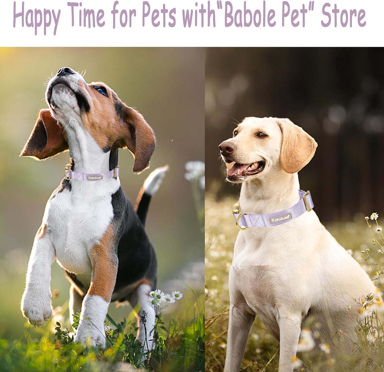 Nylon Dog Collar - Adjustable Lavender Soft Webbing Dog Collars for Small Medium Large Dogs Boy Girl Puppy Collar with Safety Metal Buckle L image 5