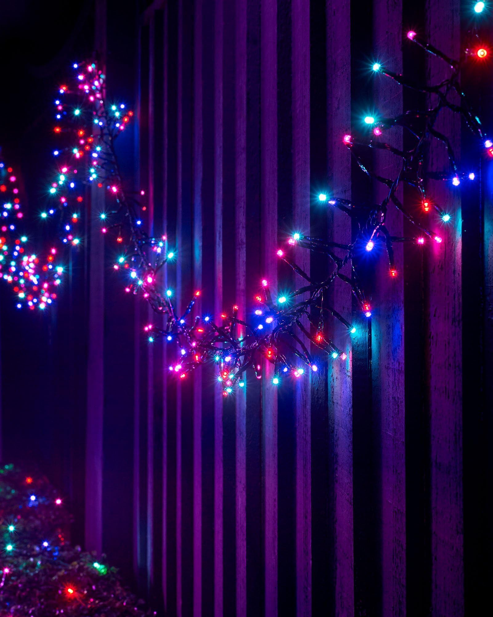 WeRChristmas LED Cluster Lights, Black Cable