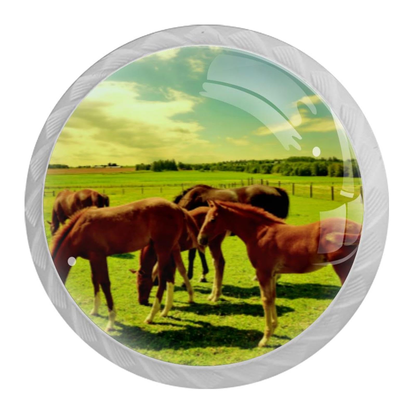 Tqmspg Horses