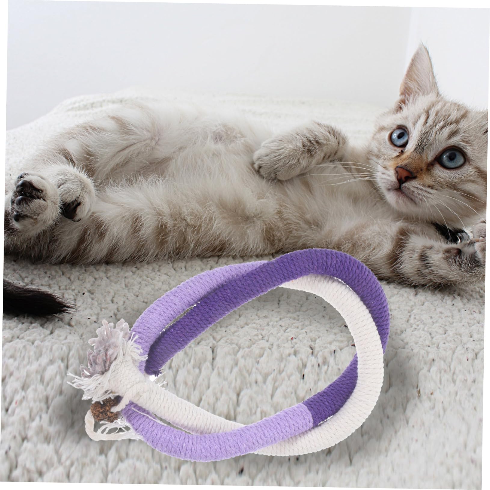 BESPORTBLE 12 Pièces Jouet pour Chat Jouets pour Animaux De Compagnie Jouets pour Chaton Voiture Corde en Coton Jouets De Morsure De Chat Corde De Meulage De Dents De Chat Jouets À Mâcher