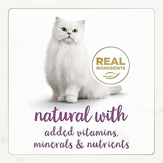 Purina Fancy Feast Pate Wet Cat Food Gourmet Naturals Beef Recipe With Added Vitamins, Minerals and Nutrients - (Pack of 12) 3 oz. Cans