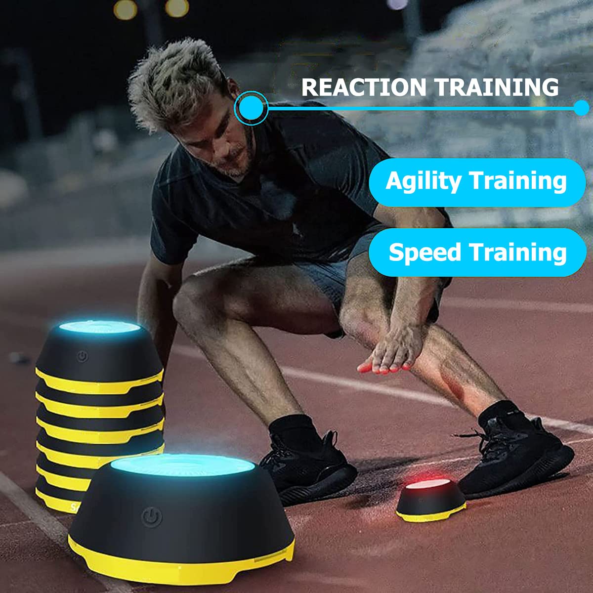 Dog is Running in Agility Slalom. Stock Photo - Image of beam, evening