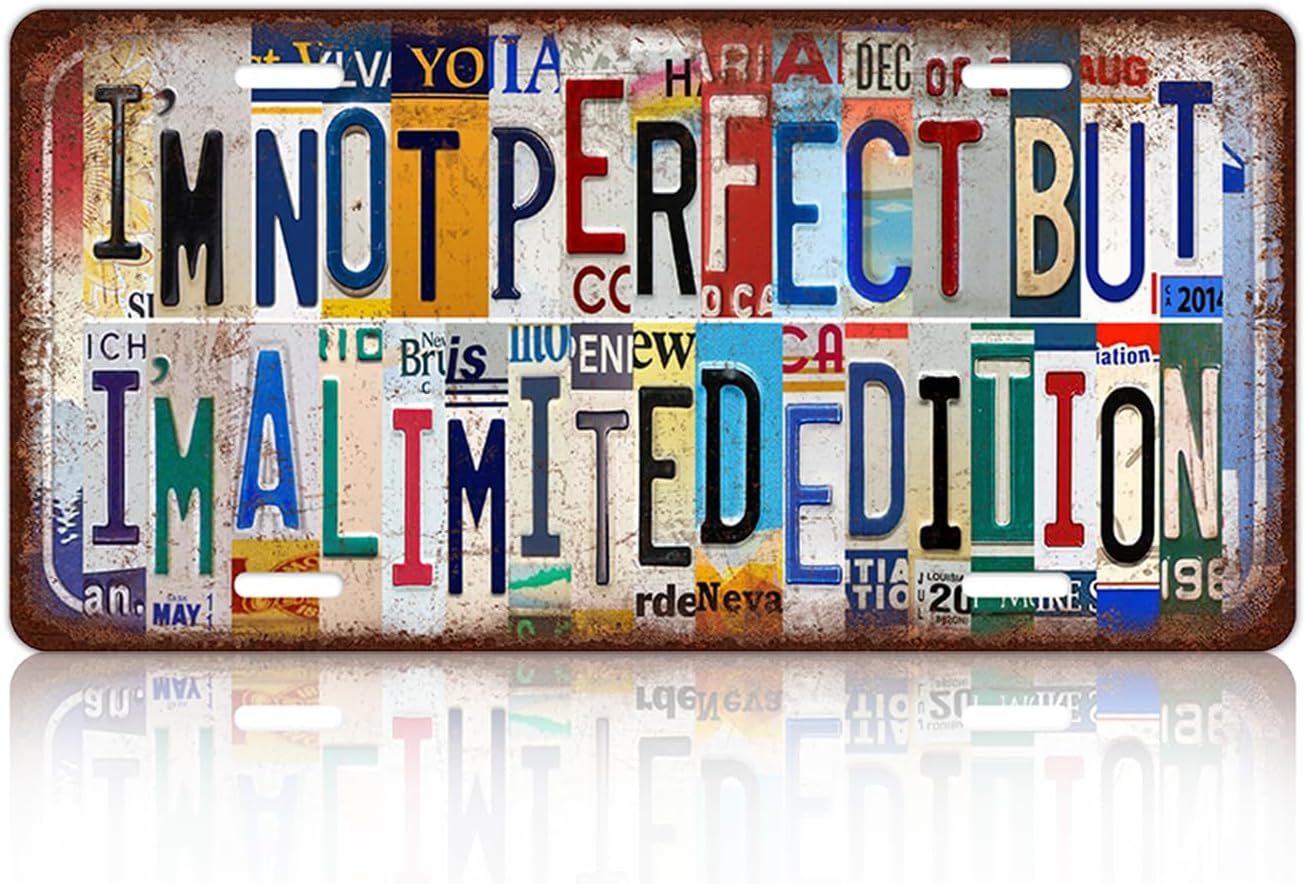 Placa de matrícula vintage para decoración de pared, letrero de metal para bar, hogar, dormitorio, 12 x 6 pulgadas, I’m Not Perfect But I’m A