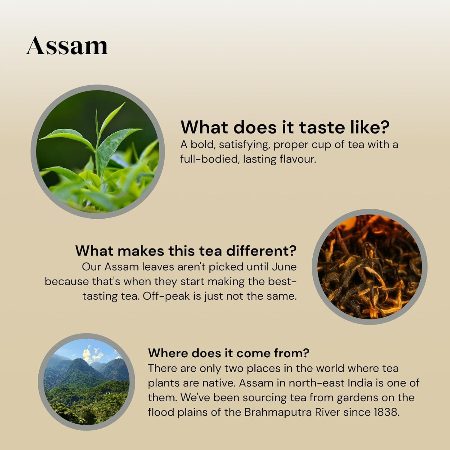 Twinings Assam Tea 40 (Pack Of 4)