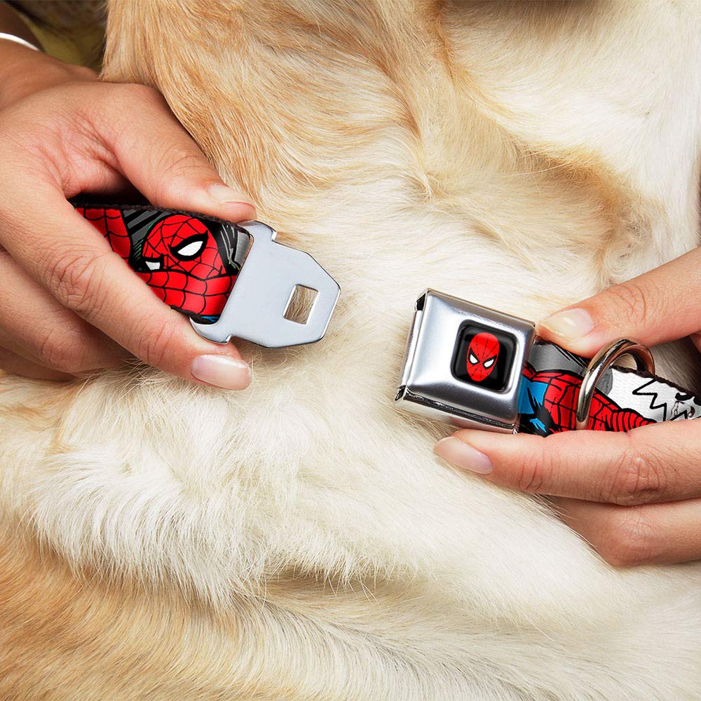 Buckle-Down DC-WSPD019-WS 33-45 cm SPDA-Spider-Man obroża dla psa, szeroka mała