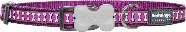 Red Dingo Collares Reflectantes Perro