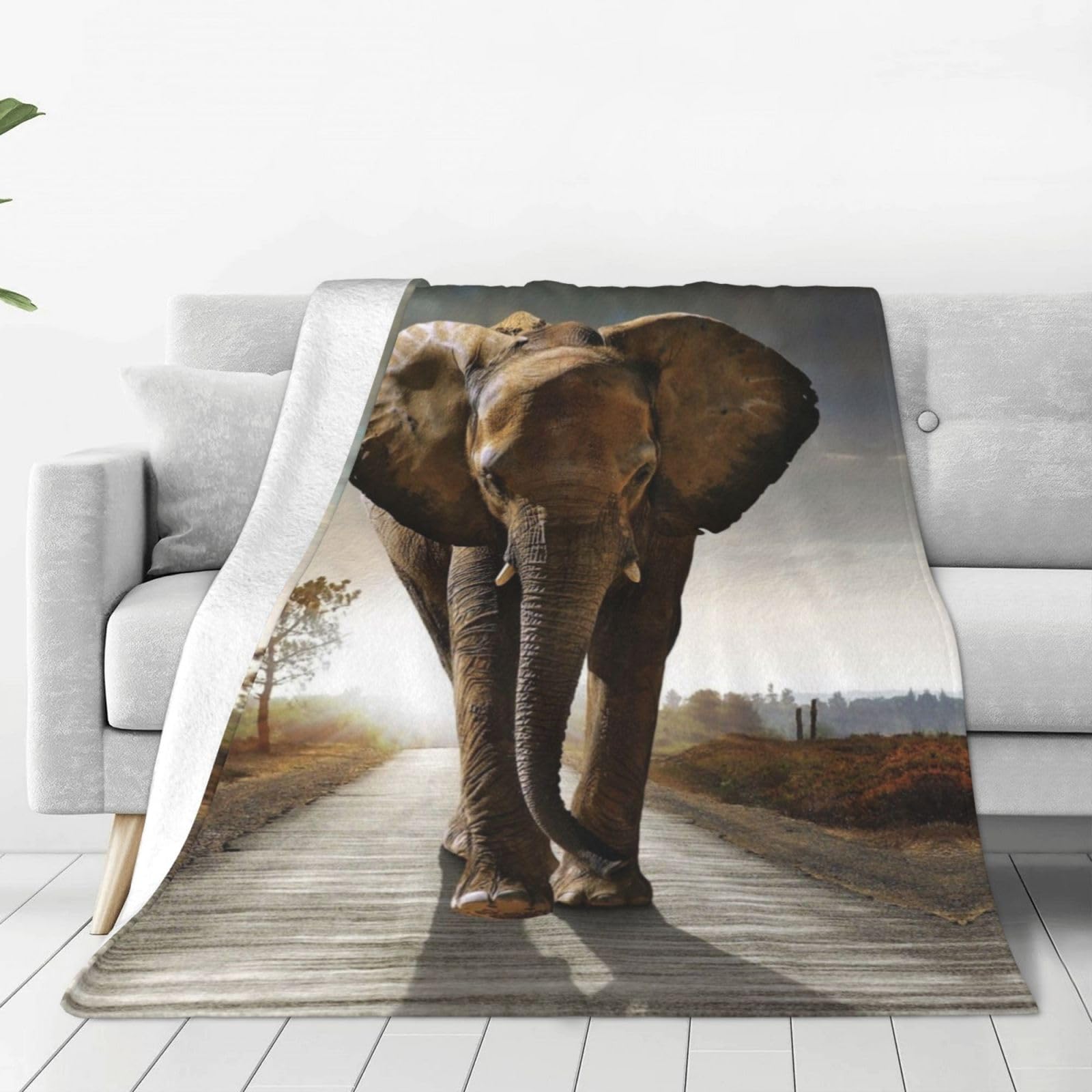 Couverture flanelle anti-froid micro-polaire légère motif éléphant 152x127 cm bureau