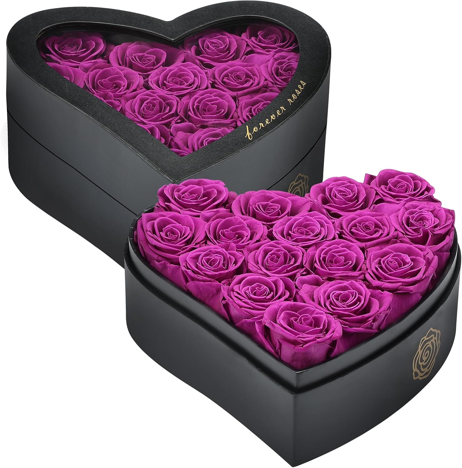 Amazon.com: 16 Purple Forever Preserved Roses in a Box, Grade A Quality ...