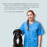 Ver la foto 7