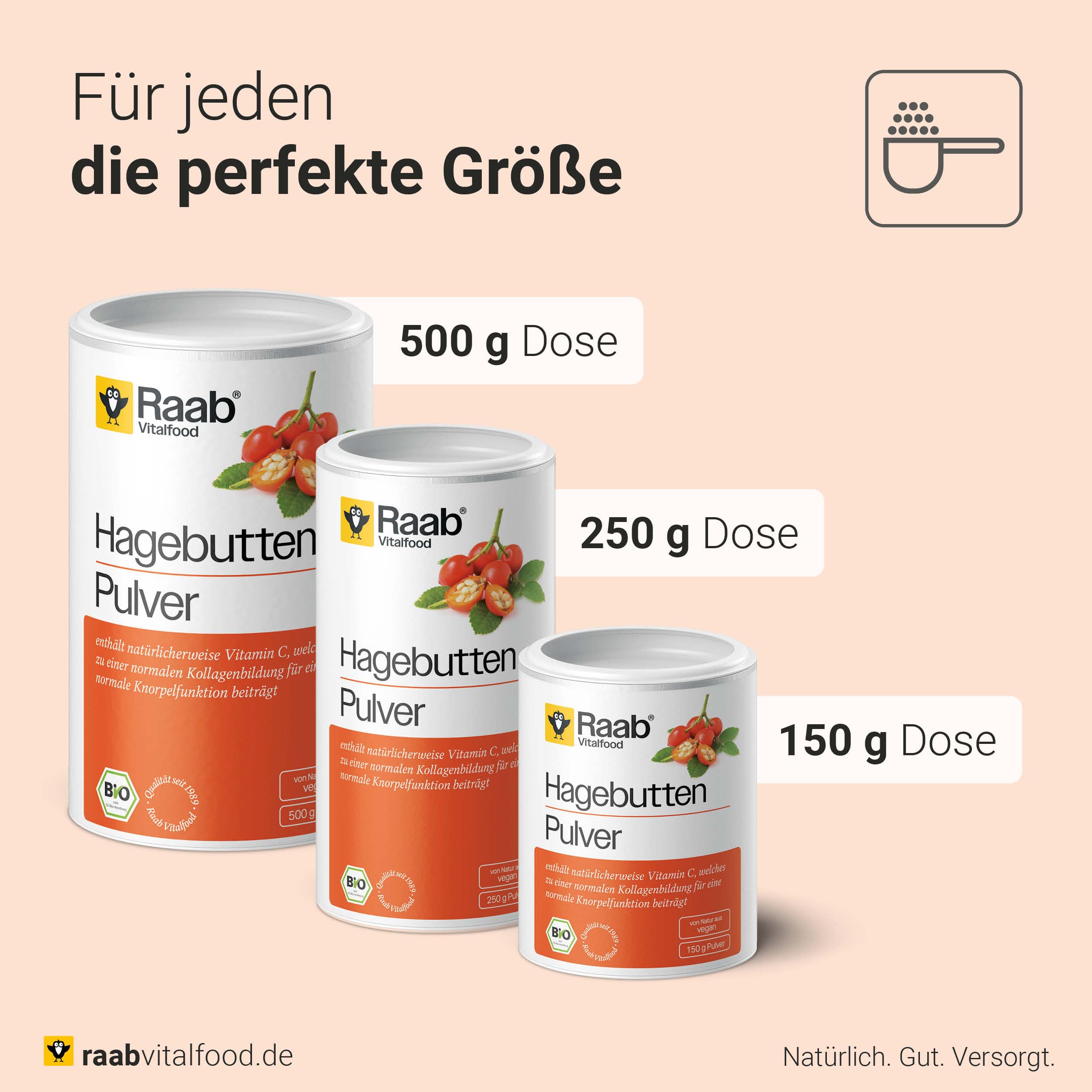 Raab Vitalfood Bio Hagebutten-Pulver, Premium-Sorte AP-4 Hagebutte aus dem Süden von Chile, mit natürlichem Vitamin C für eine normale Kollagenbildung & Knorpelfunktion (500g)